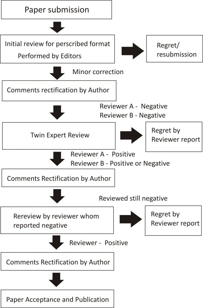 publication-process